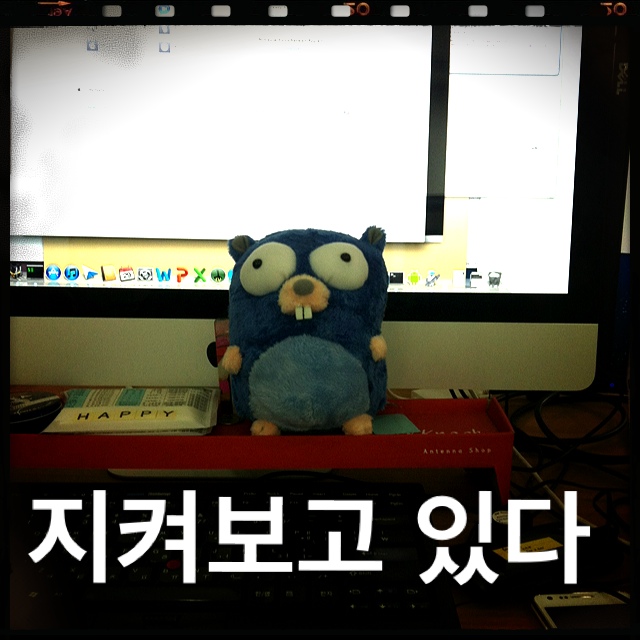 미투포토
