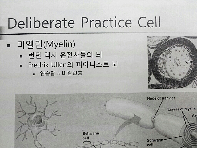 미투포토